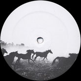 http://covers.phonica.s3.amazonaws.com/d5a4ce501a7ffb9f016fc98db3890332.jpg