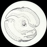 cover cover